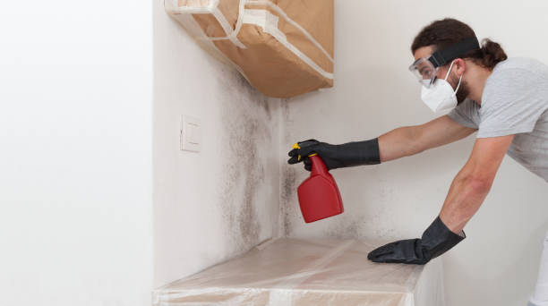 Professional Mold Removal technician working in Kingston, IL