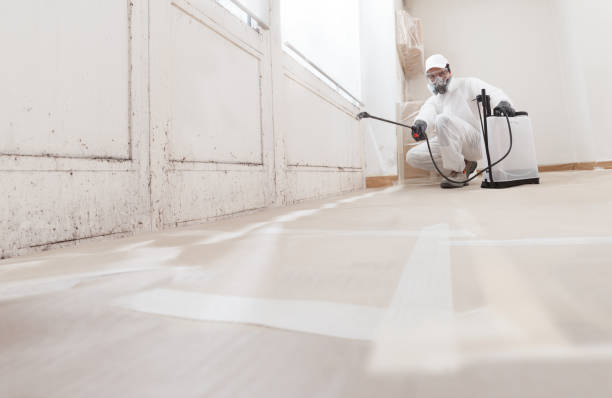 24/7 Emergency Mold Removal experts in Kingston, IL